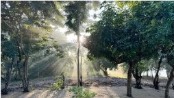 Origin Trip #51: Mababu, Tanzania, 2024
