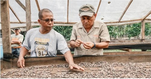 Cocoa origin: Davao, Philippines